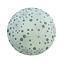 PLAFON REDONDO DONDO SPARK 30CM 2XE27 S/AMP