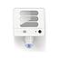 APLIQUE 6255-CAM  25W LUTEC 5000K IP44 BLANCO SEGURIDAD