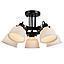 LAMP COLGAR BOSTON 5L #20025 E14 D16CM  S/A