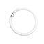 TUBO CIRCULAR T5 22W LD 6400K #30003 WESTINGHOUSE