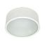 PLAFON CILINDRO SOBREPUESTO2XE27 BLANCO MATE S/AM