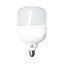 AMP LED T-BULB T100 40W LBF #40028 E27 WESTINGHOUSE