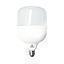 AMP LED T-BULB T140 60W LBF #40030 E27 WESTINGHOUSE