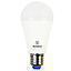AMP LED BOLA A60 15W LBF #40046 E27 WESTINGHOUSE G11