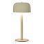 LAMP AGORA LED CCT 1W 150LM IP20 CREMA RECARGABLE