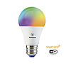 AMP LED A60 10W SMART #65150 RGB E27 WESTINGHOUSE