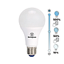 AMP LED BOLA A60 10W LBF #65025 E27 DIM WESTINGHOUSE